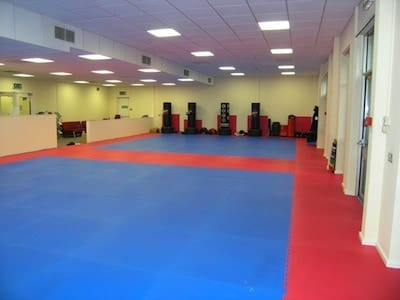 Basingstoke Judo, Judo in Basingstoke