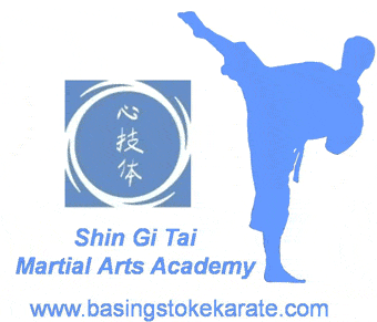 Shin Gi Tai Martial Arts Academy Basingstoke
