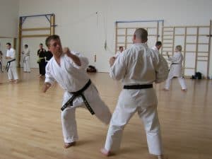Old Basing, Basing, SSK, Karate, JKAE, KUGB, Shotokan, Basingstoke, Hampshire
