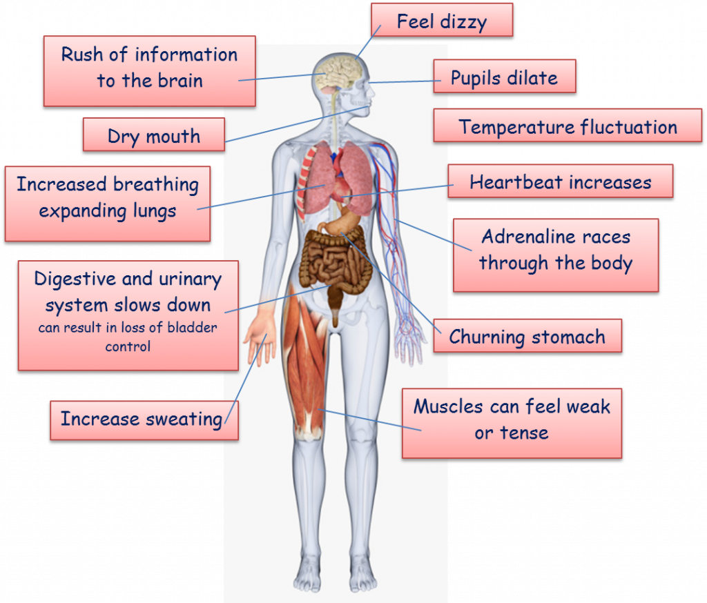 Flight or fight Basingstoke Martial Arts Academy